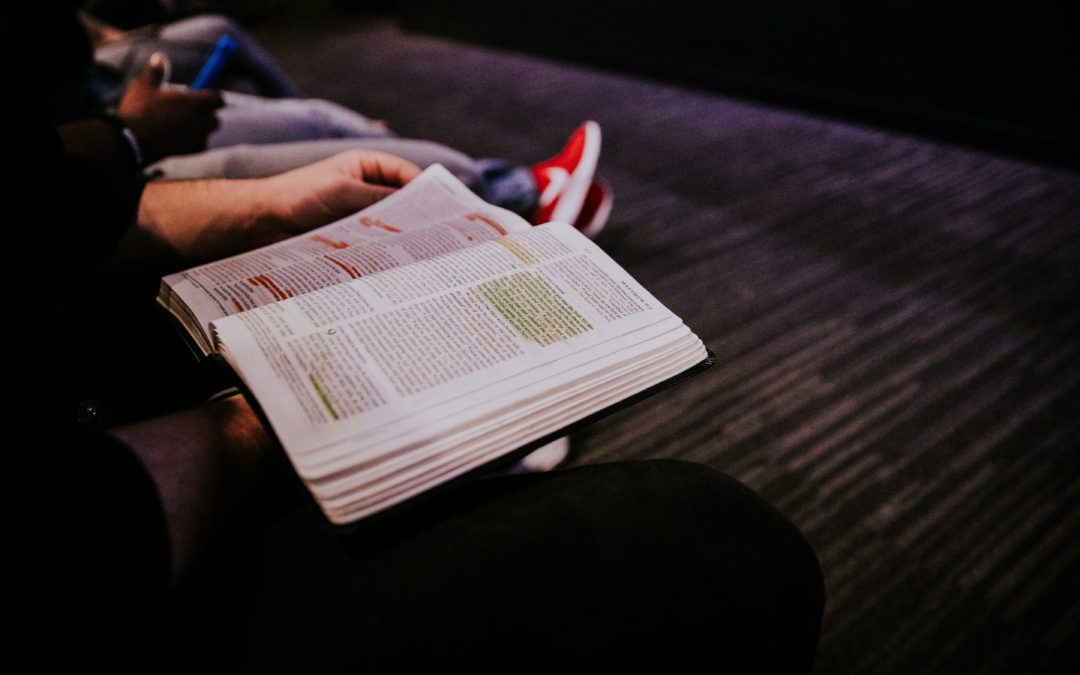 The Impact of a Host Group