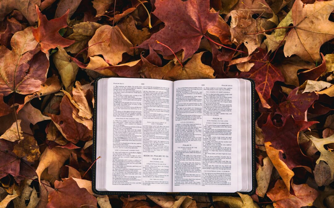 15 Verses on Giving Thanks