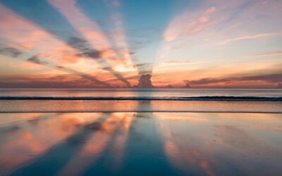 His Creative Power: A Summer Study Devotional