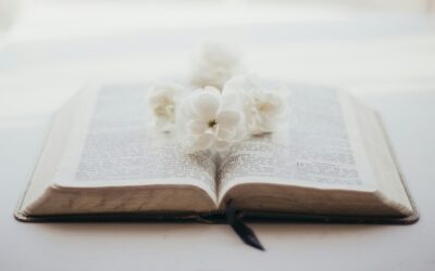 The True Reward from the Summer Study