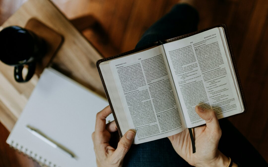 3 tips for First Time NBBC Contestants