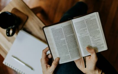 3 tips for First Time NBBC Contestants