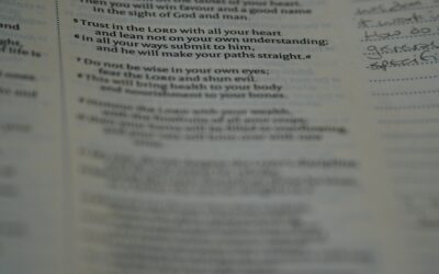 How to maintain memorization goals in 2026