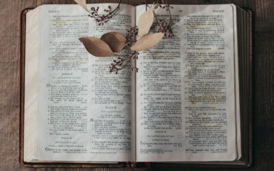 5 Reasons Why We Should Memorize Scripture from Psalm 119