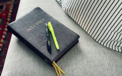 How to Study Themes in Scripture